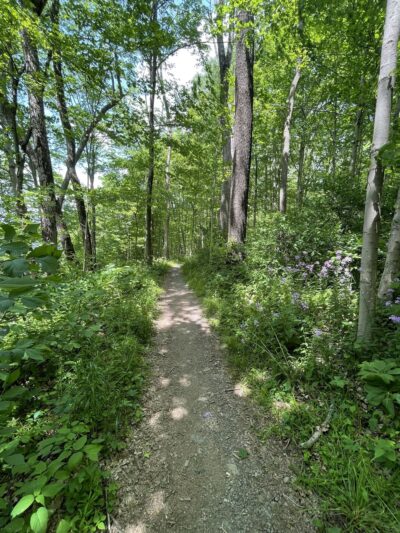 Sterner Mill Trail - Nockamixon - Perkasie, PA
