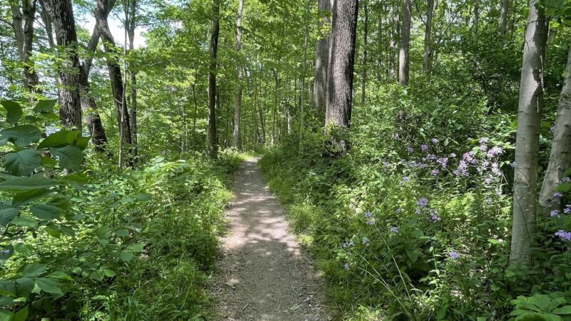Sterner Mill Trail - Nockamixon - Perkasie, PA