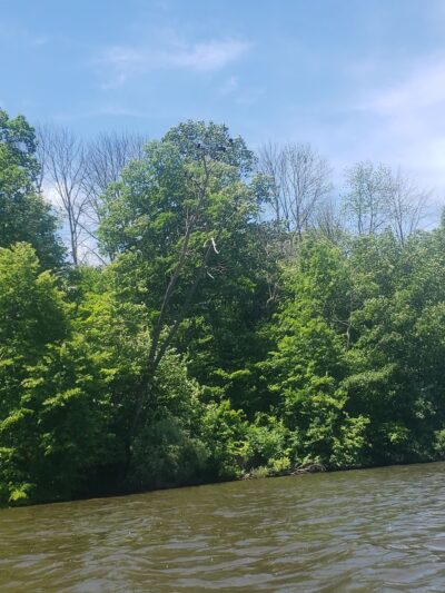 Three Mile Run - Perkasie, PA
