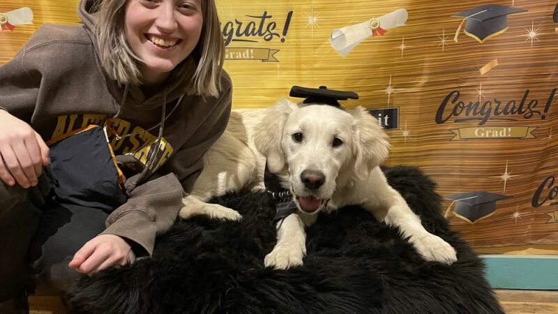 Paws Perrydise - Perry, NY