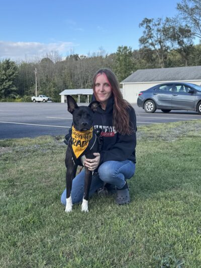 Paws Perrydise - Perry, NY