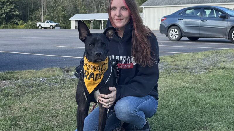 Paws Perrydise - Perry, NY