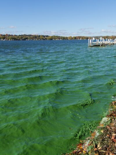 Perry Public Beach - Perry, NY