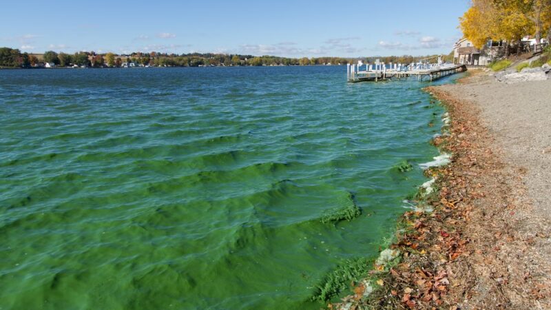 Perry Public Beach - Perry, NY