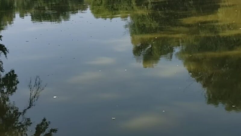 Wolf Creek County Park - Perryton, TX