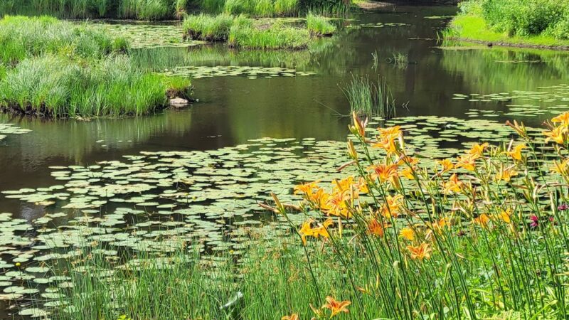 Serenity Garden - Peru, NY