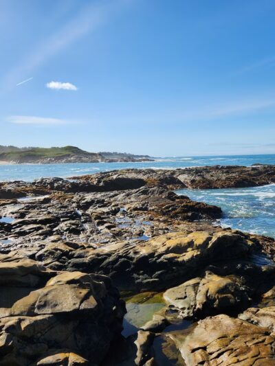 Bean Hollow State Beach - Pescadero, CA