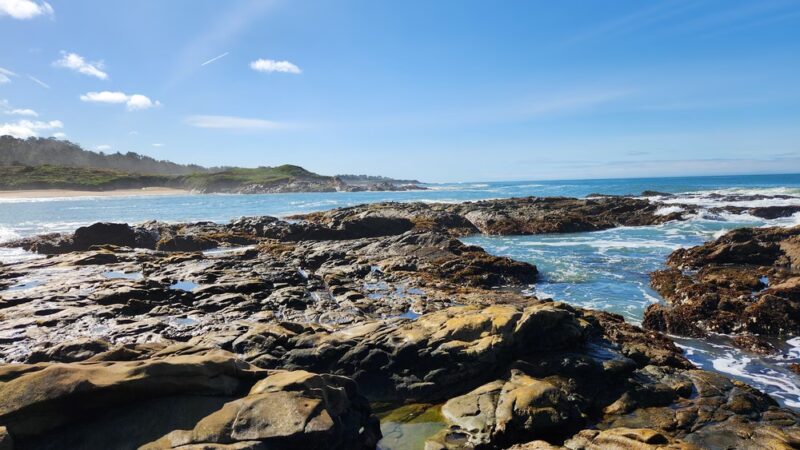 Bean Hollow State Beach - Pescadero, CA