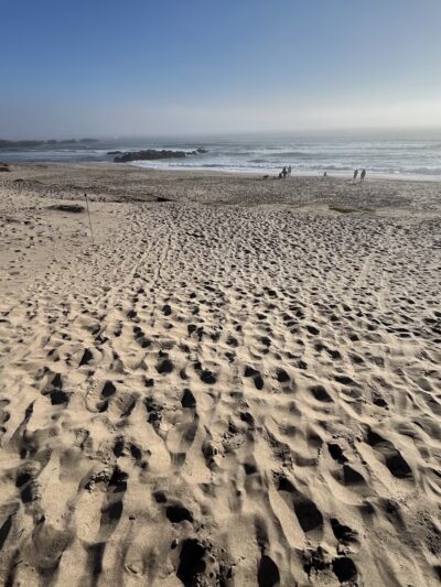 Franklin Point Trail - Pescadero, CA