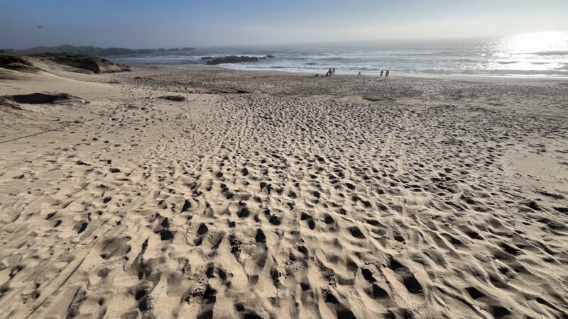 Franklin Point Trail - Pescadero, CA