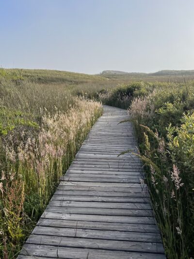 Franklin Point Trail - Pescadero, CA