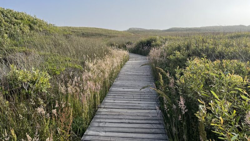 Franklin Point Trail - Pescadero, CA