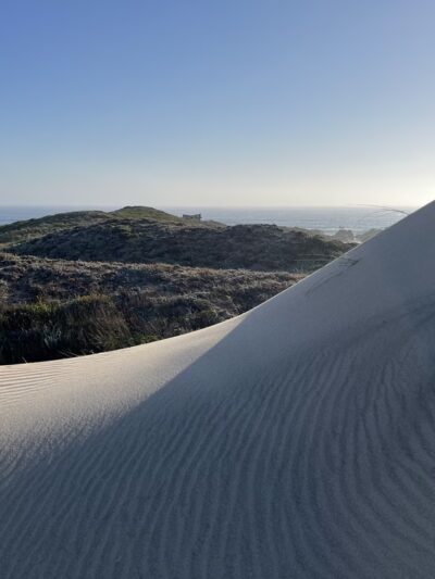 Franklin Point Trail - Pescadero, CA