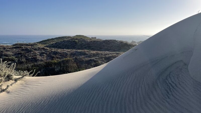 Franklin Point Trail - Pescadero, CA