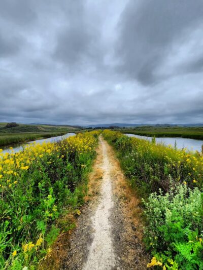 Pescadero Marsh Trail - Pescadero, CA