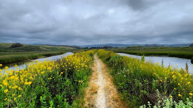 Pescadero Marsh Trail - Pescadero, CA