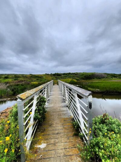 Pescadero Marsh Trail - Pescadero, CA