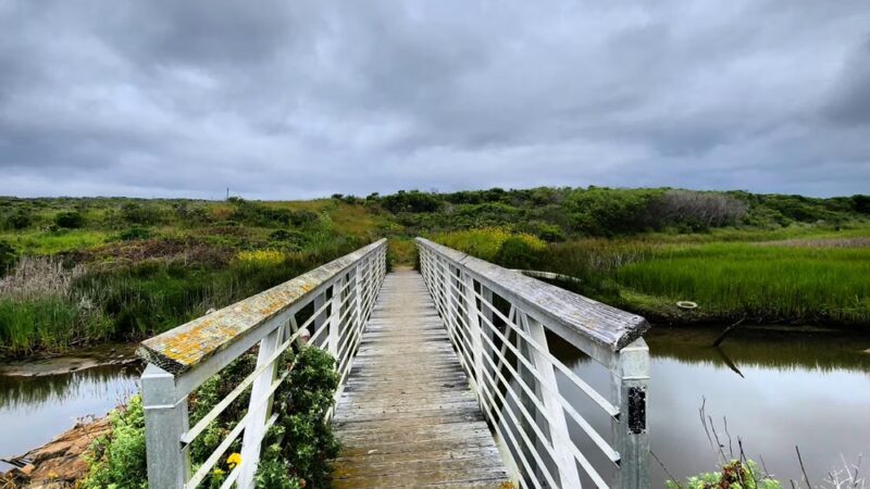 Pescadero Marsh Trail - Pescadero, CA