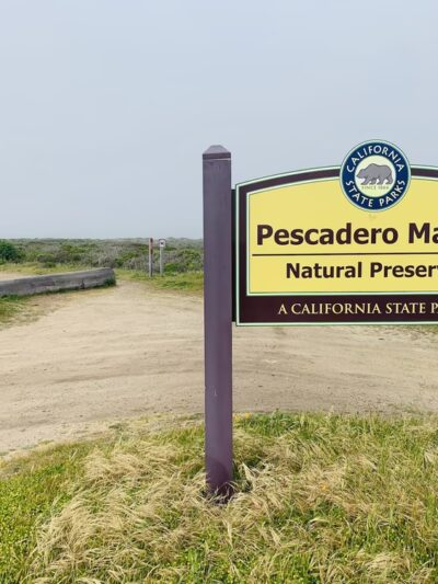 Pescadero Marsh Trail - Pescadero, CA