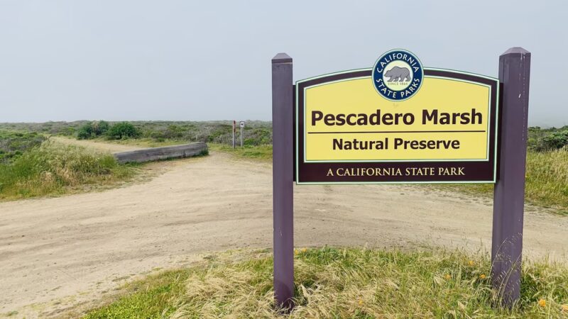 Pescadero Marsh Trail - Pescadero, CA