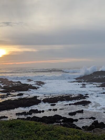 Pescadero Marsh Trail - Pescadero, CA