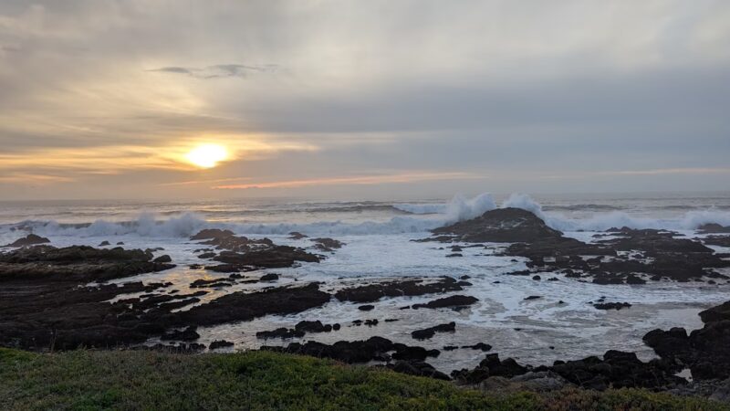 Pescadero Marsh Trail - Pescadero, CA