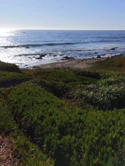 Pescadero Point Beach - Pescadero, CA