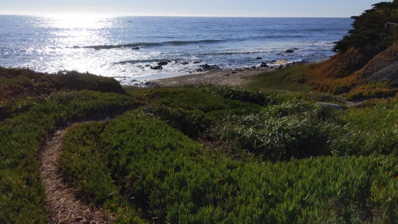 Pescadero Point Beach - Pescadero, CA