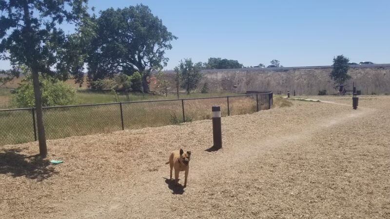 Deer Creek Village Dog Park - Petaluma, CA