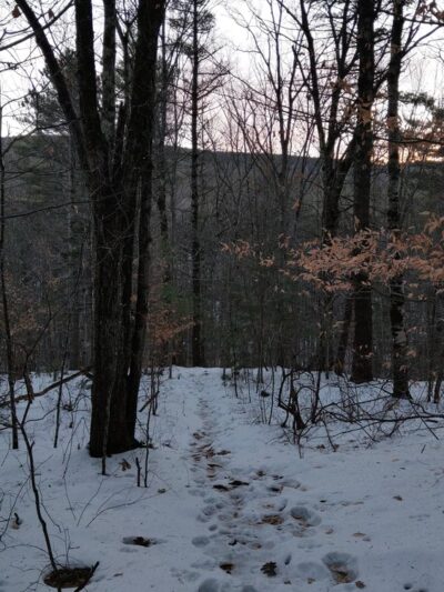 Cranberry Meadow Pond & Raymond trail Pack Monadnock Trailhead Parking - Peterborough, NH