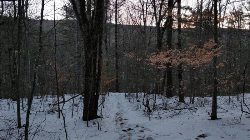 Cranberry Meadow Pond & Raymond trail Pack Monadnock Trailhead Parking - Peterborough, NH