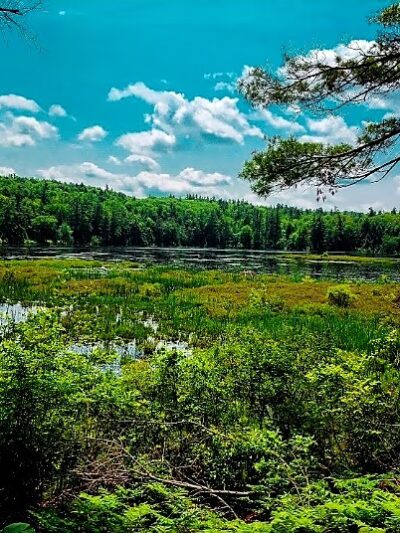 Cranberry Meadow Pond & Raymond trail Pack Monadnock Trailhead Parking - Peterborough, NH