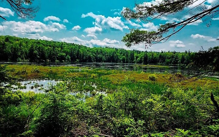Cranberry Meadow Pond & Raymond trail Pack Monadnock Trailhead Parking - Peterborough, NH