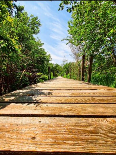 Cranberry Meadow Pond & Raymond trail Pack Monadnock Trailhead Parking - Peterborough, NH