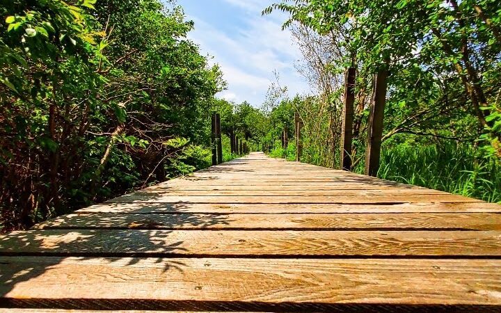 Cranberry Meadow Pond & Raymond trail Pack Monadnock Trailhead Parking - Peterborough, NH