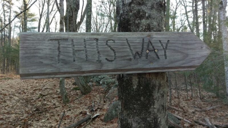 Cranberry Meadow Pond & Raymond trail Pack Monadnock Trailhead Parking - Peterborough, NH