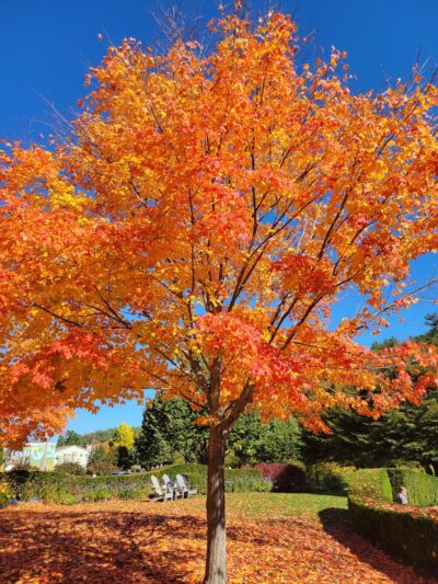 Depot Park Pavilion - Peterborough, NH