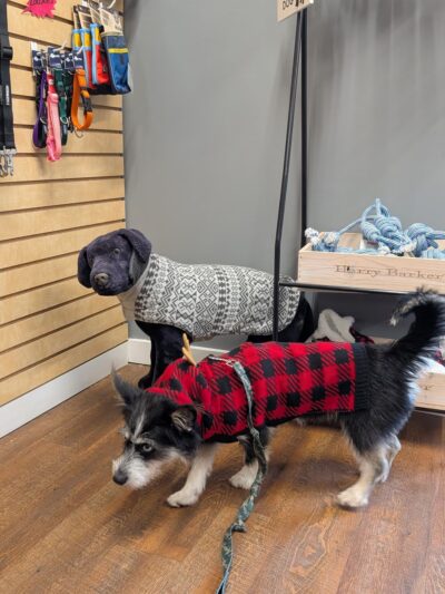 Dogs on Depot - Peterborough, NH