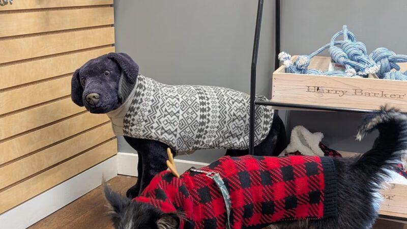 Dogs on Depot - Peterborough, NH