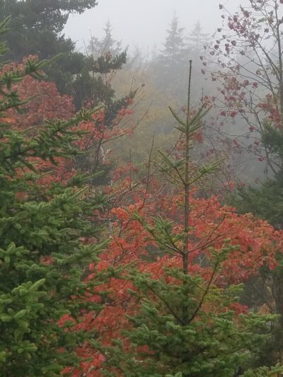 Pack Monadnock - Peterborough, NH