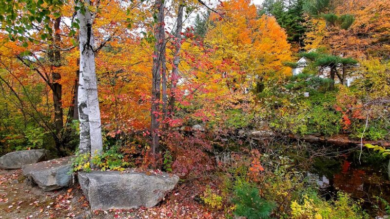 Peterborough Common Pathway - Peterborough, NH