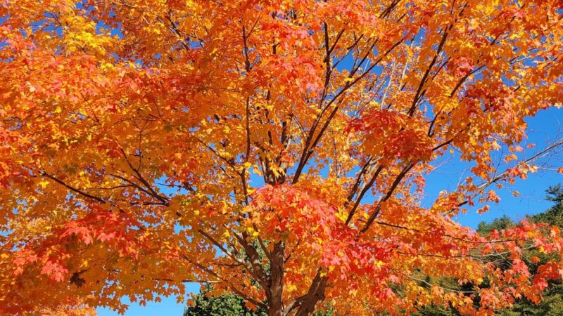 Riverwalk - Peterborough, NH