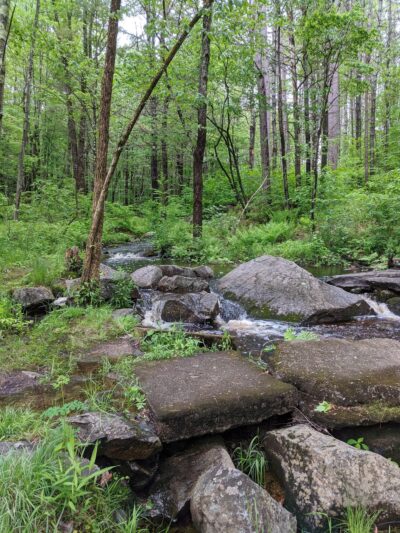 Shieling Forest State Park, Trails & Forestry Learning Center - Peterborough, NH