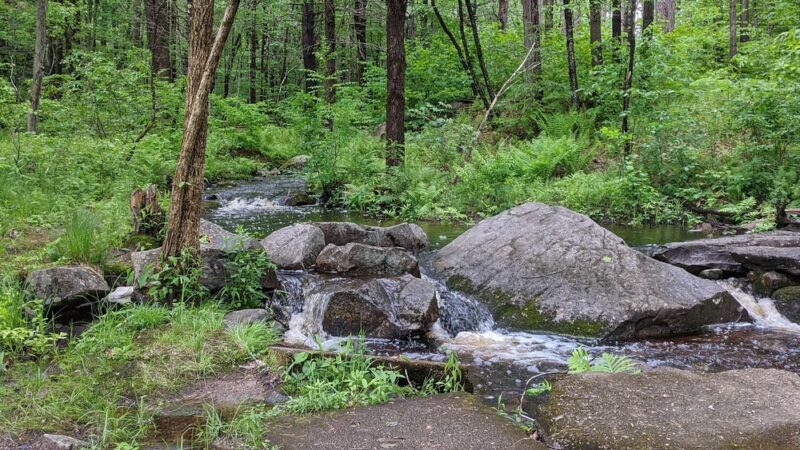 Shieling Forest State Park, Trails & Forestry Learning Center - Peterborough, NH