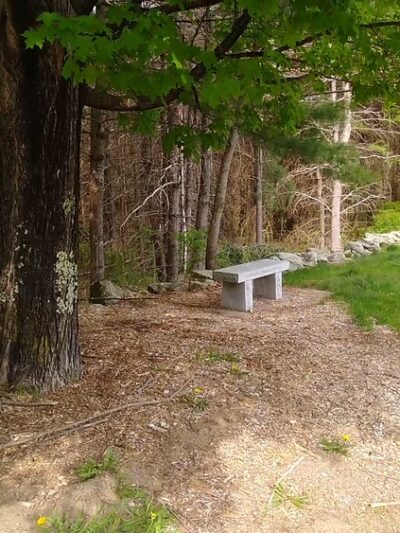 Shieling Forest State Park, Trails & Forestry Learning Center - Peterborough, NH