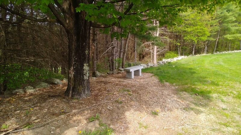 Shieling Forest State Park, Trails & Forestry Learning Center - Peterborough, NH