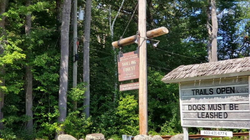 Shieling Forest State Park, Trails & Forestry Learning Center - Peterborough, NH
