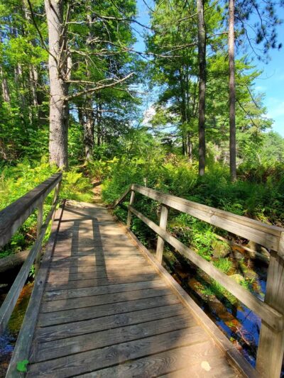 Shieling Forest State Park, Trails & Forestry Learning Center - Peterborough, NH