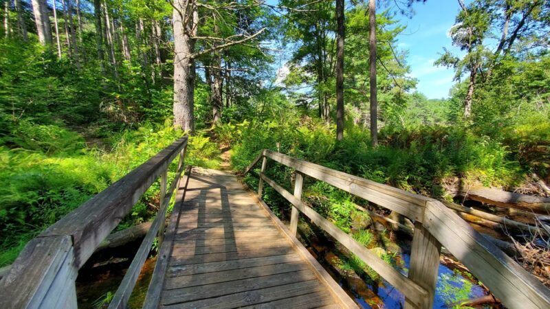 Shieling Forest State Park, Trails & Forestry Learning Center - Peterborough, NH