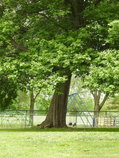 Hurie Park - Petersburg, IL